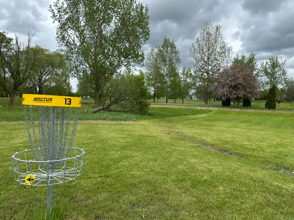 A disc golf basket on hole 13 of the course at Backyard Brew